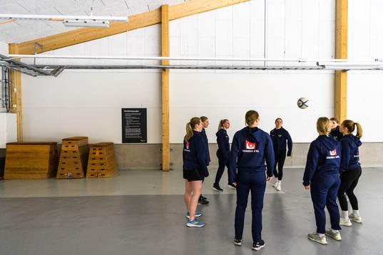 Sveriges spelare värmer upp