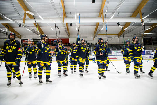 Sveriges spelar jublar