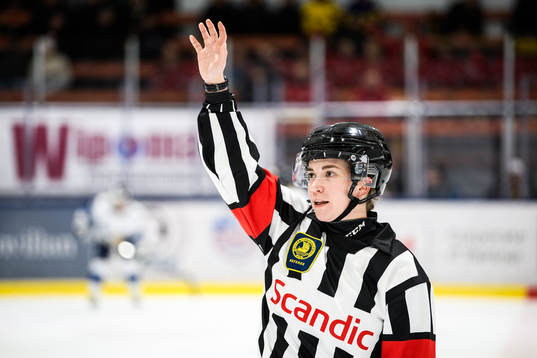 Domare Ida Henriksson