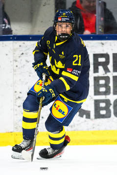 Sveriges Lova Blom