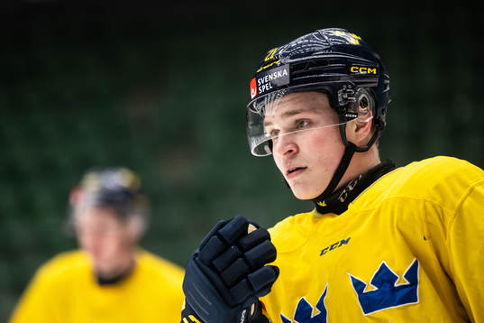 Zeb Forsfjäll of the Swedish under-20 national ice hockey