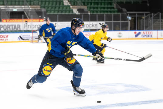 Fabian Wagner of the Swedish under-20 national ice hockey