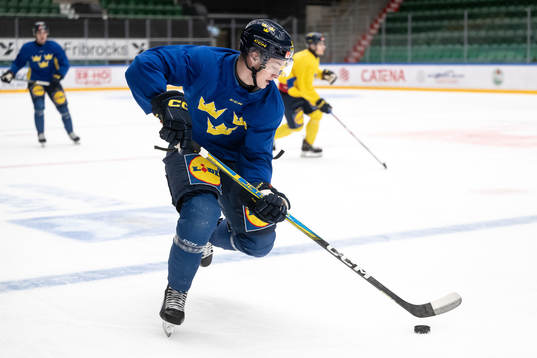 Fabian Wagner of the Swedish under-20 national ice hockey