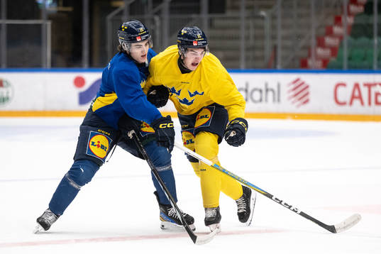 Liam Öhgren and David Edstrom of the Swedish under-20
