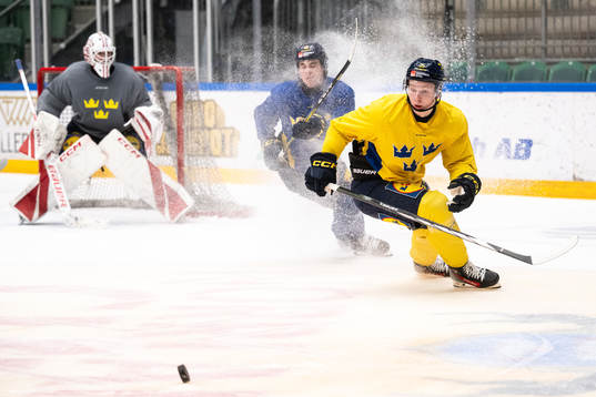 Otto Stenberg of the Swedish under-20 national ice hockey