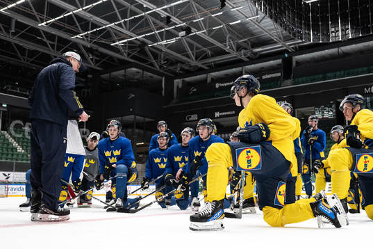 Players gather round assistant coach Pierre Johnssonof the
