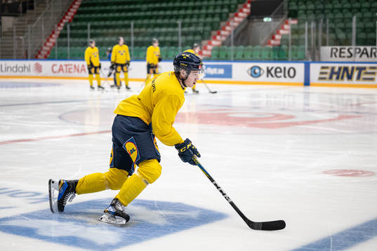 Mattias Hävelid of the Swedish under-20 national ice