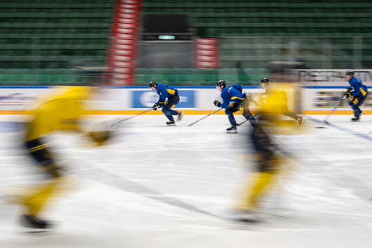 Players of the Swedish under-20 national ice hockey team