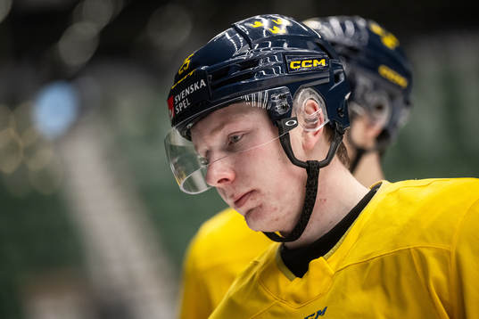 Otto Stenberg of the Swedish under-20 national ice hockey