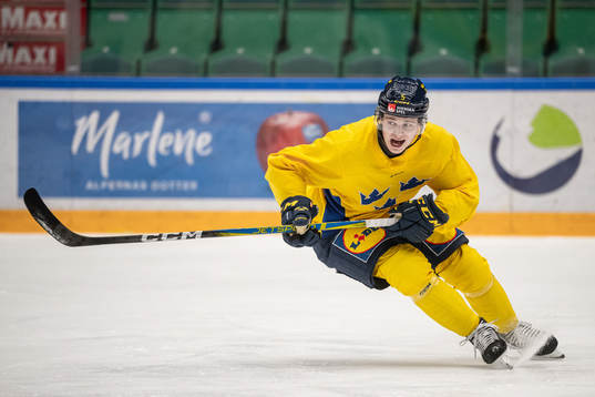 Mattias Hävelid of the Swedish under-20 national ice