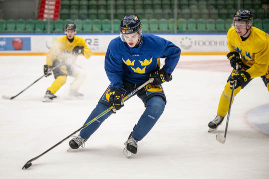 Axel Sandin-Pellikka of the Swedish under-20 national ice