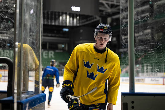 Otto Stenberg of the Swedish under-20 national ice hockey