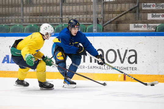 Liam Öhgren of the Swedish under-20 national ice hockey