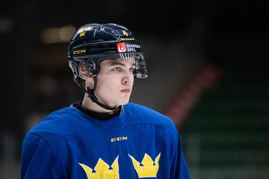 Axel Sandin-Pellikka of the Swedish under-20 national ice