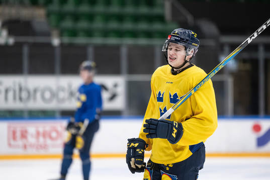 Mattias Hävelid of the Swedish under-20 national ice