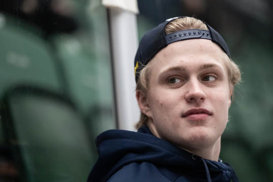 Elias Pettersson of the Swedish under-20 national ice