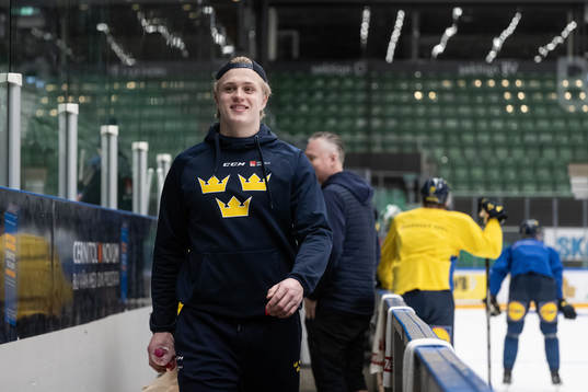 Elias Pettersson of the Swedish under-20 national ice