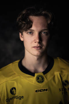 Rasmus Rudslätt of the Swedish under-20 national ice