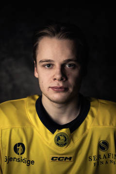 Mattias Hävelid of the Swedish under-20 national ice