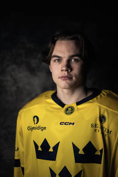 Axel Sandin-Pellikka of the Swedish under-20 national ice