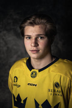 Zeb Forsfjäll of the Swedish under-20 national ice hockey