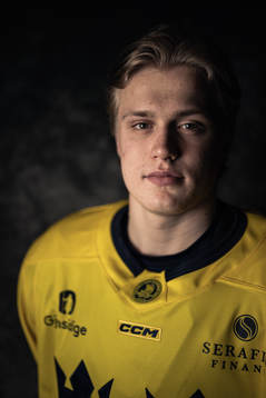 Elias Pettersson of the Swedish under-20 national ice