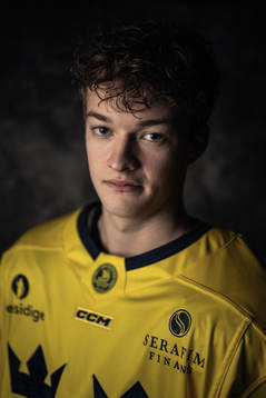 Fabian Wagner of the Swedish under-20 national ice hockey