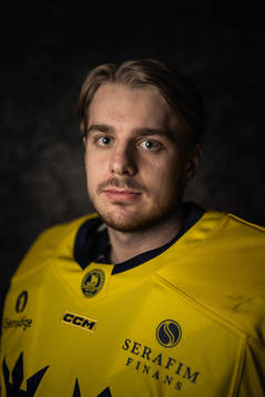 Goaltender Hugo Hävelid of the Swedish under-20 national