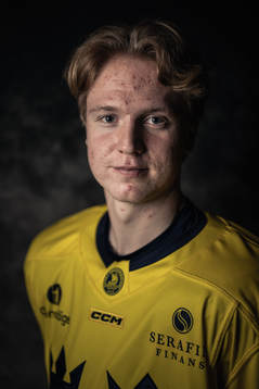 Filip Bystedt of the Swedish under-20 national ice hockey