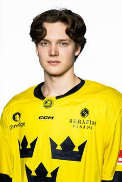 Rasmus Rudslätt of the Swedish under-20 national ice
