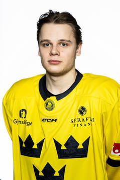Mattias Hävelid of the Swedish under-20 national ice