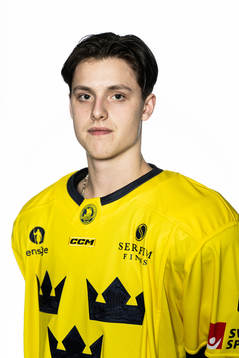 Anton Johansson of the Swedish under-20 national ice hockey