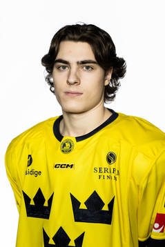 Liam Öhgren of the Swedish under-20 national ice hockey