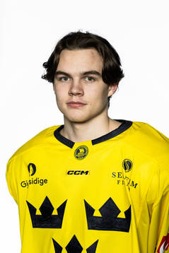 Axel Sandin-Pellikka of the Swedish under-20 national ice