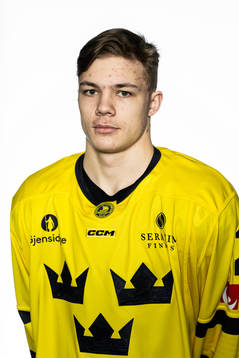 Anton Wahlberg of the Swedish under-20 national ice hockey