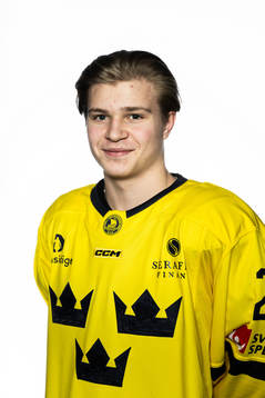 Zeb Forsfjäll of the Swedish under-20 national ice hockey