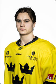 Jakob Norén of the Swedish under-20 national ice hockey
