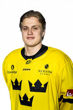 Elias Pettersson of the Swedish under-20 national ice