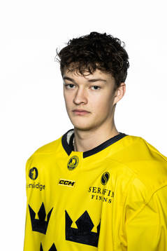 Fabian Wagner of the Swedish under-20 national ice hockey