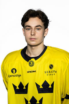 Felix Unger Sörum of the Swedish under-20 national ice