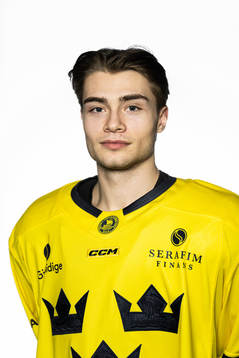 Isac Born of the Swedish under-20 national ice hockey team