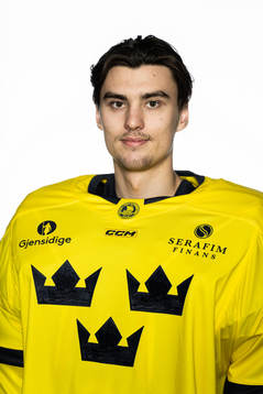 Goaltender Kevin Reidler of the Swedish under-20 national