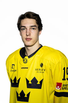 David Edstrom of the Swedish under-20 national ice hockey