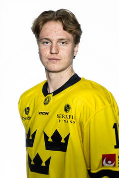 Filip Bystedt of the Swedish under-20 national ice hockey