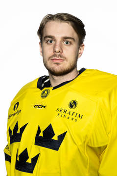 Goaltender Hugo Hävelid of the Swedish under-20 national