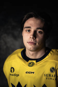 Elias Salomonsson of the Swedish under-20 national ice