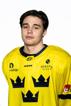 Elias Salomonsson of the Swedish under-20 national ice