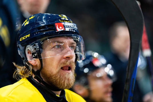 Anton Lindholm of Sweden in the ice hockey game between