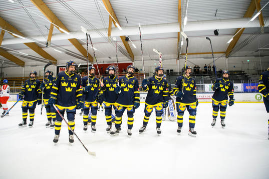 Sveriges spelare deppar