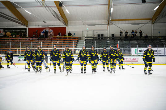 Sveriges spelare deppar
